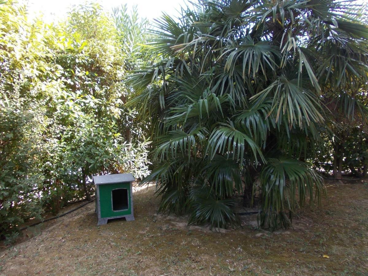 Alessandria Residence Desenzano del Garda Zewnętrze zdjęcie